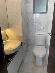 Radiance @ Bukit Timah (D21), Terrace #466560011